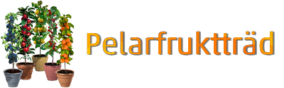 Pelarfruktträd
